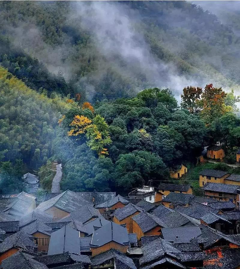 春雨直播app
